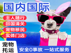 伊春林都机场物流国际宠物托运 【国